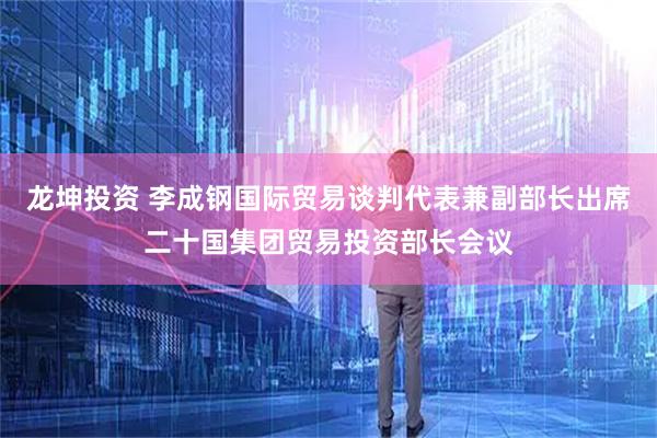 龙坤投资 李成钢国际贸易谈判代表兼副部长出席二十国集团贸易投资部长会议